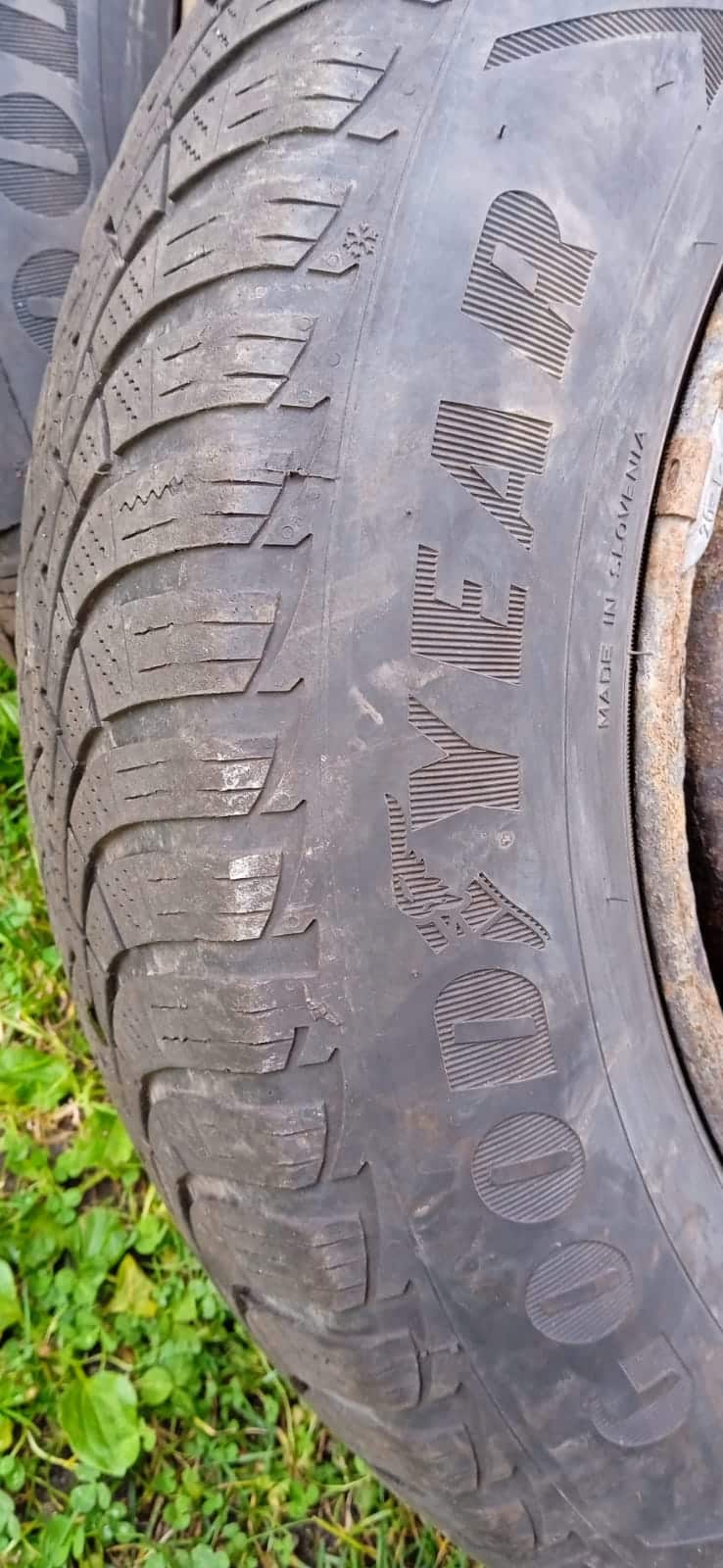 1665826681735_image2