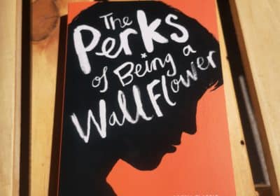 The Perks of Being a Wallflower – Stephen Chbosky