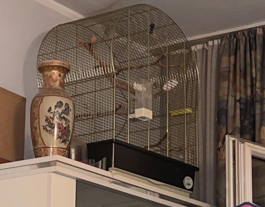 Vogelkäfig 73 x 58 x 35 cm