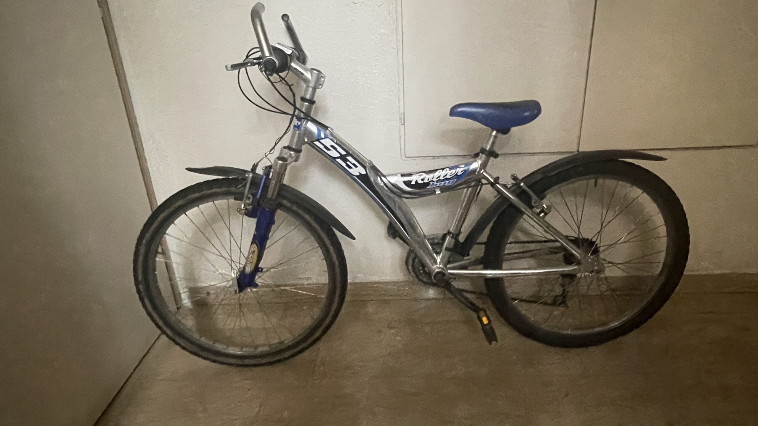 Fahrrad “Roller bug 53”