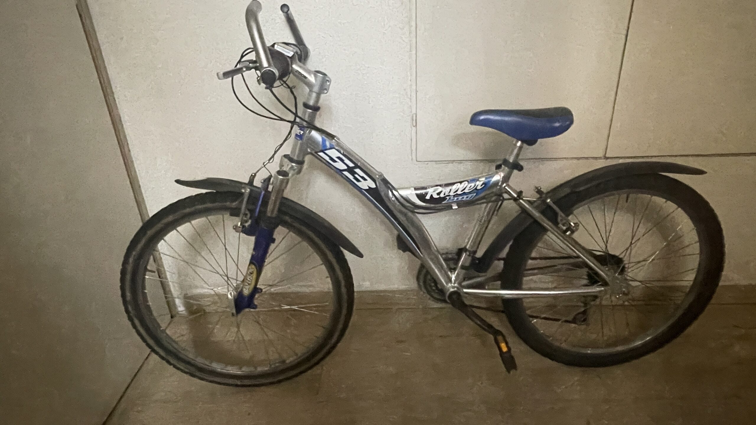 Fahrrad “Roller bug 53”