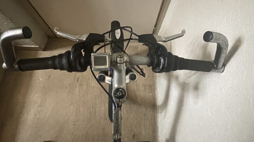 Fahrrad “Roller bug 53”