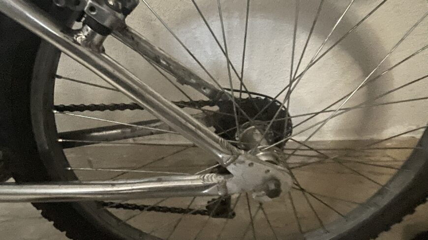Fahrrad “Roller bug 53”
