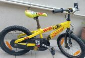 Mountain bike Scott Jr series 16″