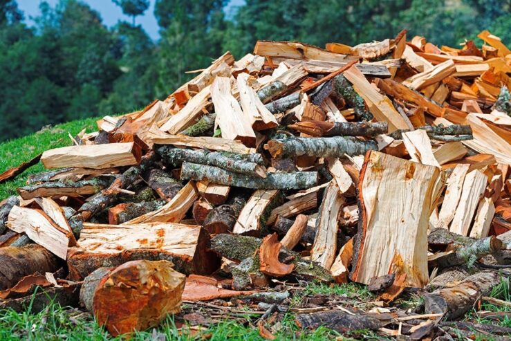 Sonstiges Holz, Buche Brennholz von ausgezeichneter Qualität