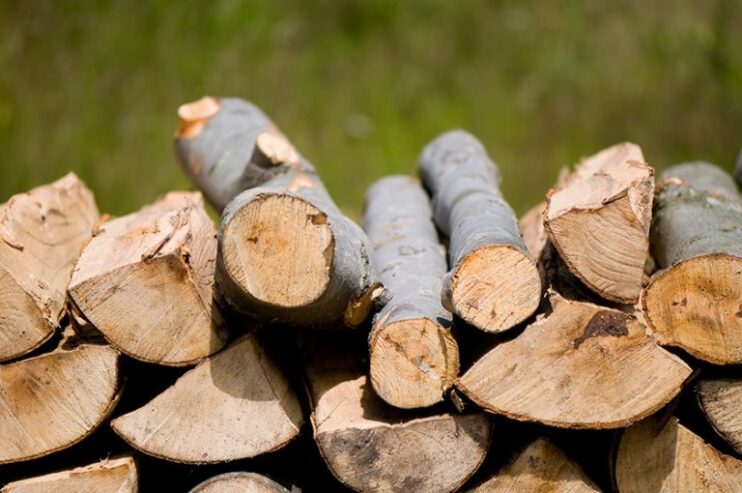 Sonstiges Holz, Buche Brennholz von ausgezeichneter Qualität