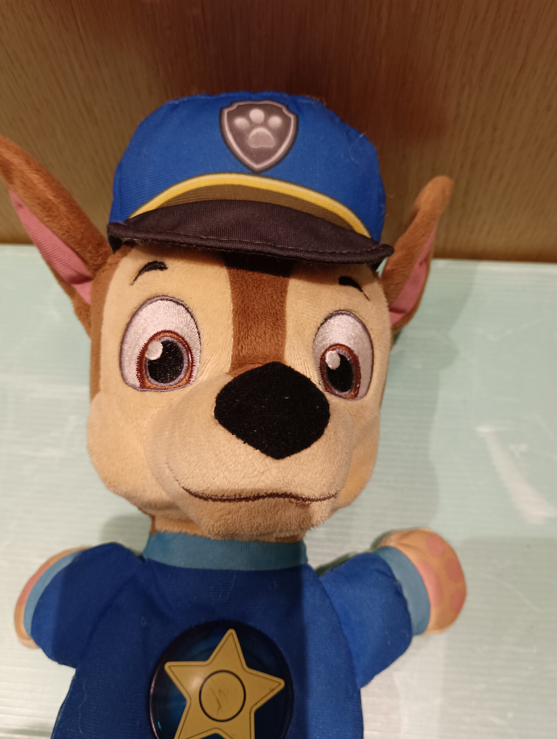 Chase nanne paw Patrol