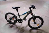 Fahrrad Kinder (Größe 21 Zoll)