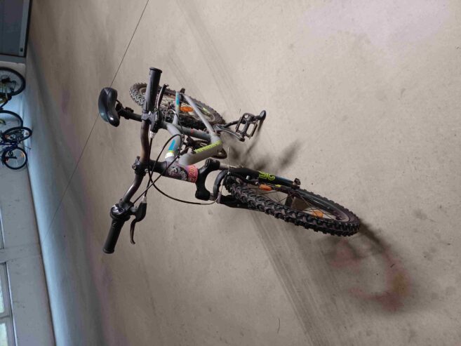 Fahrrad Kinder (Größe 21 Zoll)