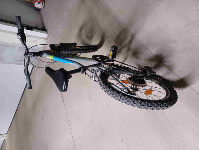 Fahrrad Kinder (Größe 21 Zoll)