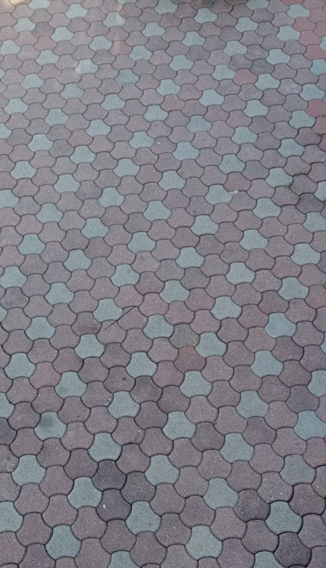 Pflastersteine werden gesucht