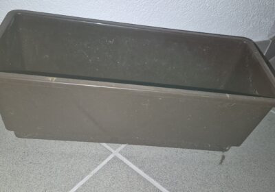 1000043748