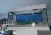 Aquarium 76x43x36