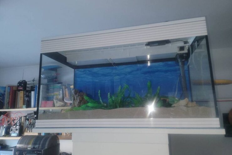Aquarium 76x43x36