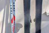Nordica Skier