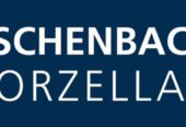 Eschenbach Porzellan Service