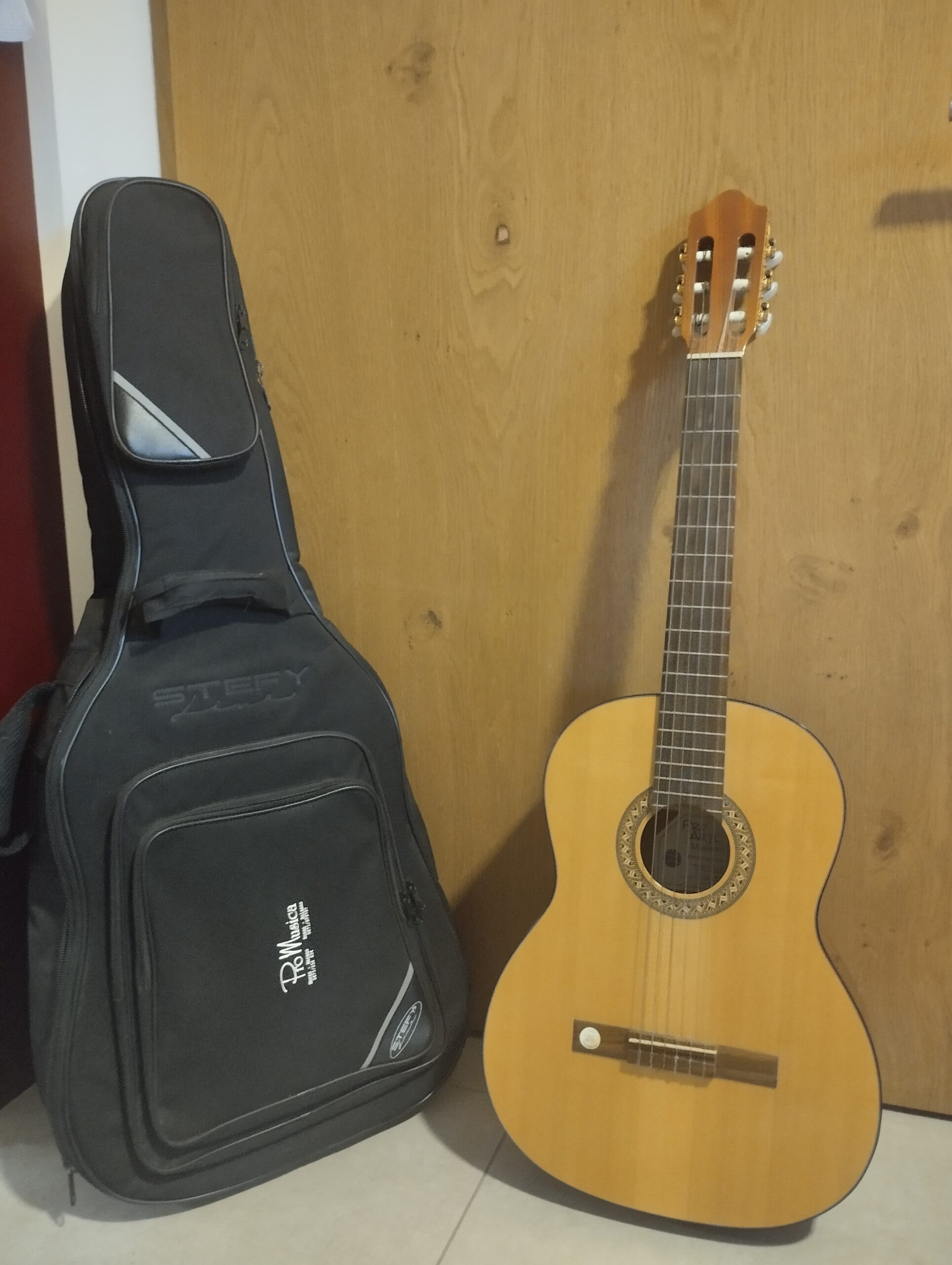 Klassische Konzertgitarre