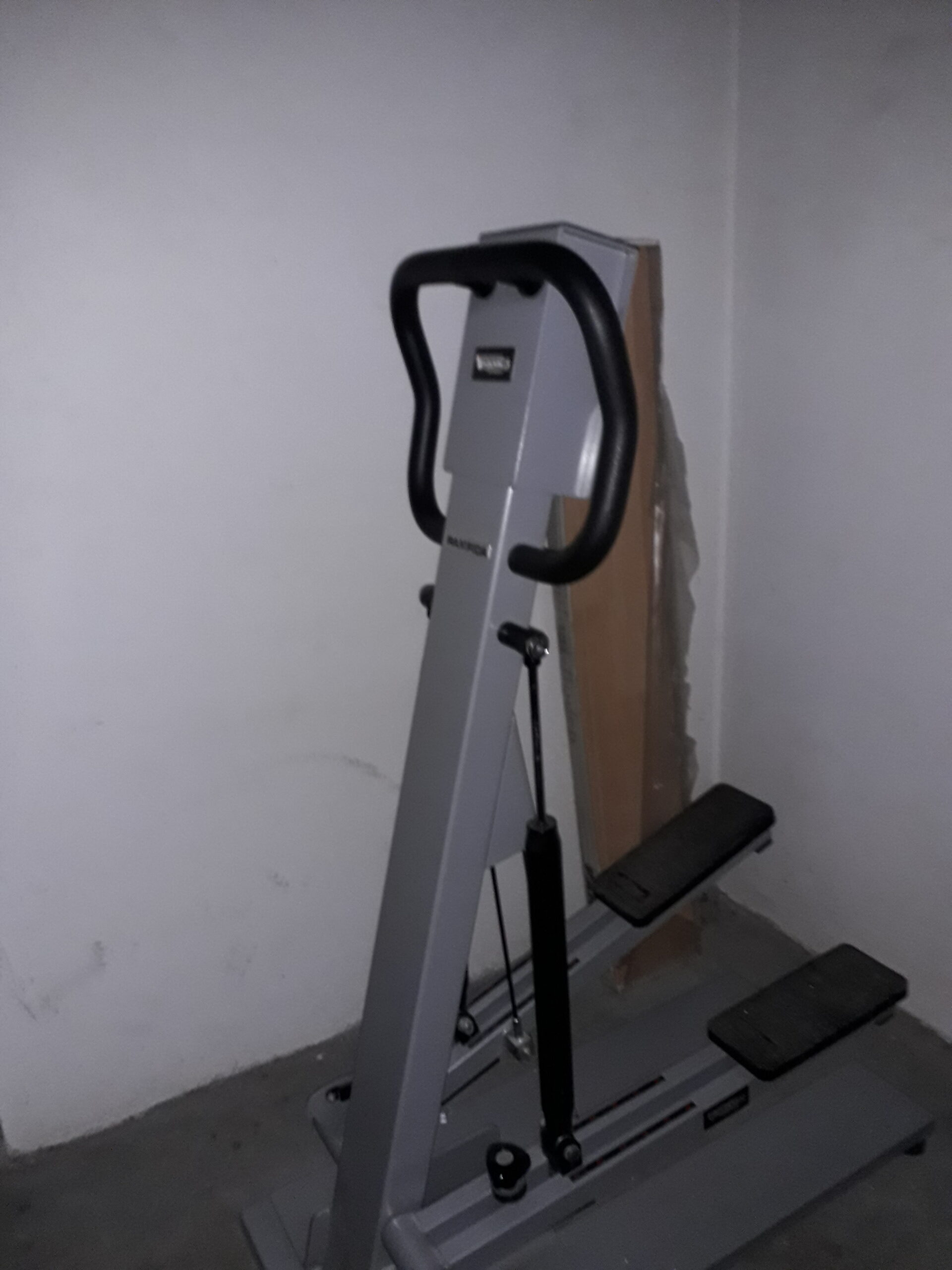 TECHNOGYM RAMPICA