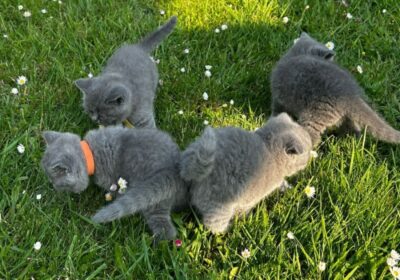 6705_photo-2023-06-05-19-22-16_thb