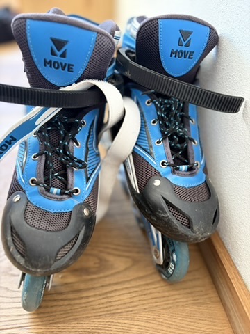 Verstellbare Rollschuhe (38 bis 41)