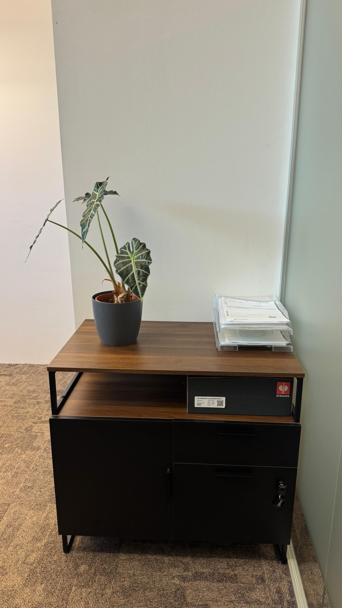 Höhenverstellbarer L-Shape Eckschreibtisch mit Aktenschrank – 500 € pro Stück (6 Stück verfügbar)