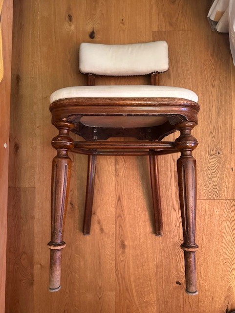 6 Wiener Thonet Stühle