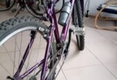 Mountainbike GIANT