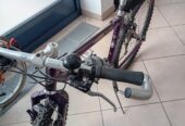 Mountainbike GIANT