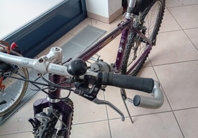 WhatsApp-Image-2026-03-17-at-13.48.45