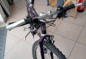 Mountainbike GIANT