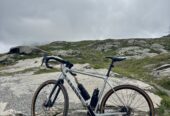 Gravel Bike Canyon – Größe L – 9,5 kg