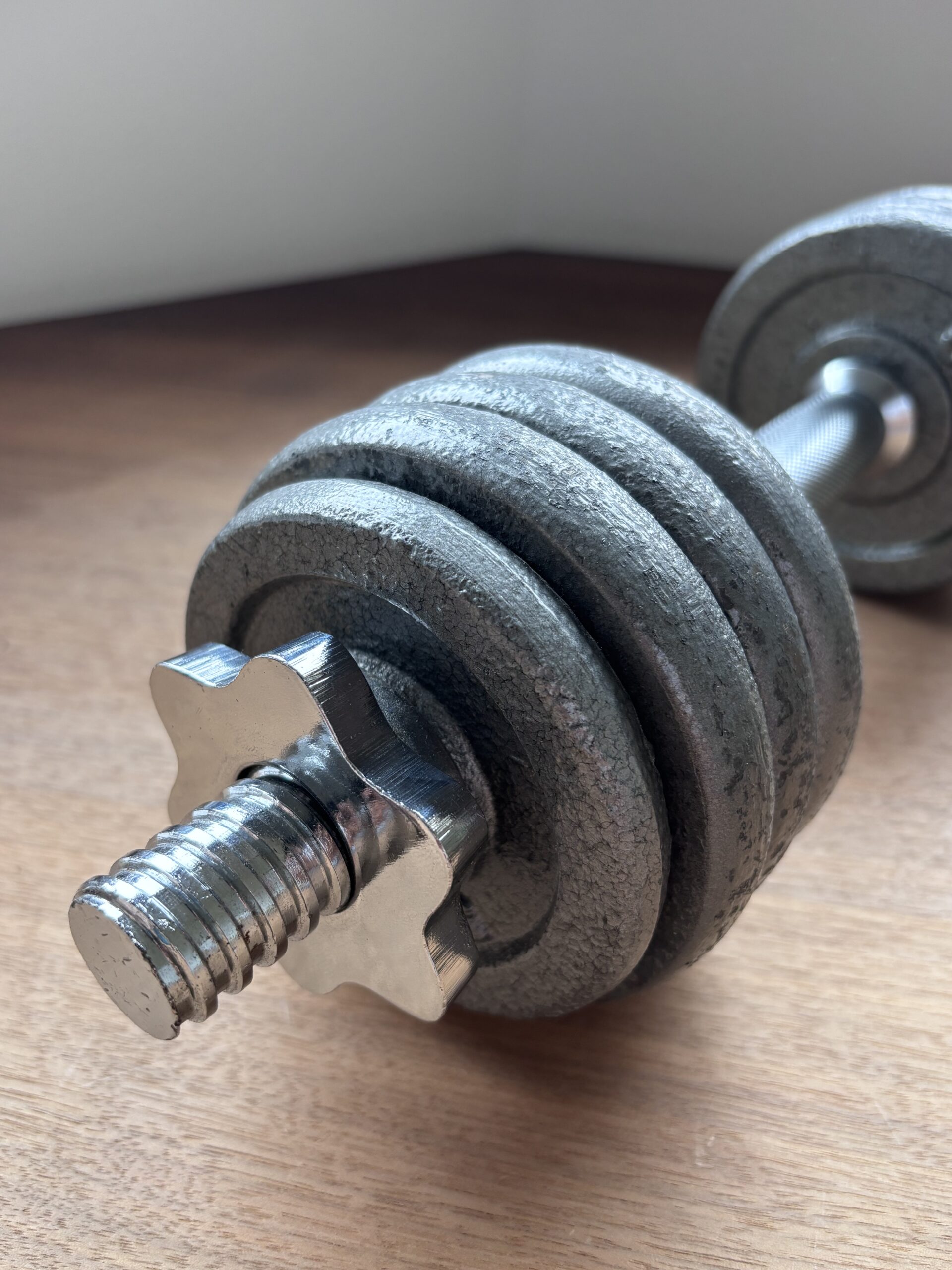 2 identische Hanteln – 8 kg – Fitness