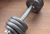 2 identische Hanteln – 8 kg – Fitness