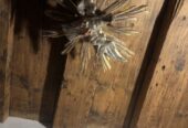 Heilig-Geist-Taube / Strahlenkranz aus Holz – Tirol/Südtirol um 1800