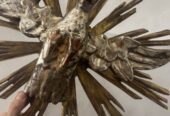 Heilig-Geist-Taube / Strahlenkranz aus Holz – Tirol/Südtirol um 1800