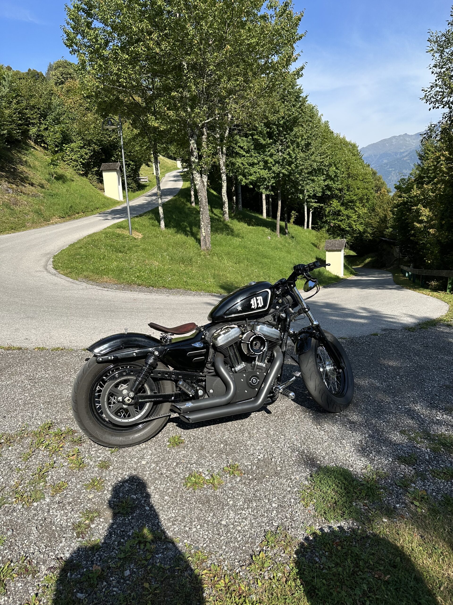 Harley-Davidson Sportster 48 1200