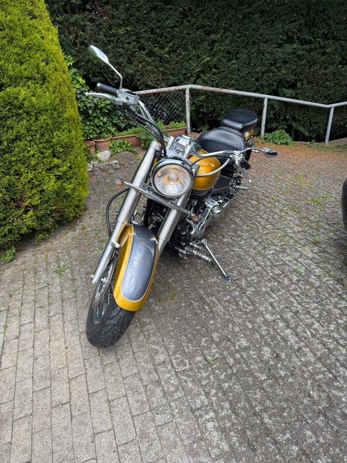 Yamaha Dragstar 650 Classic