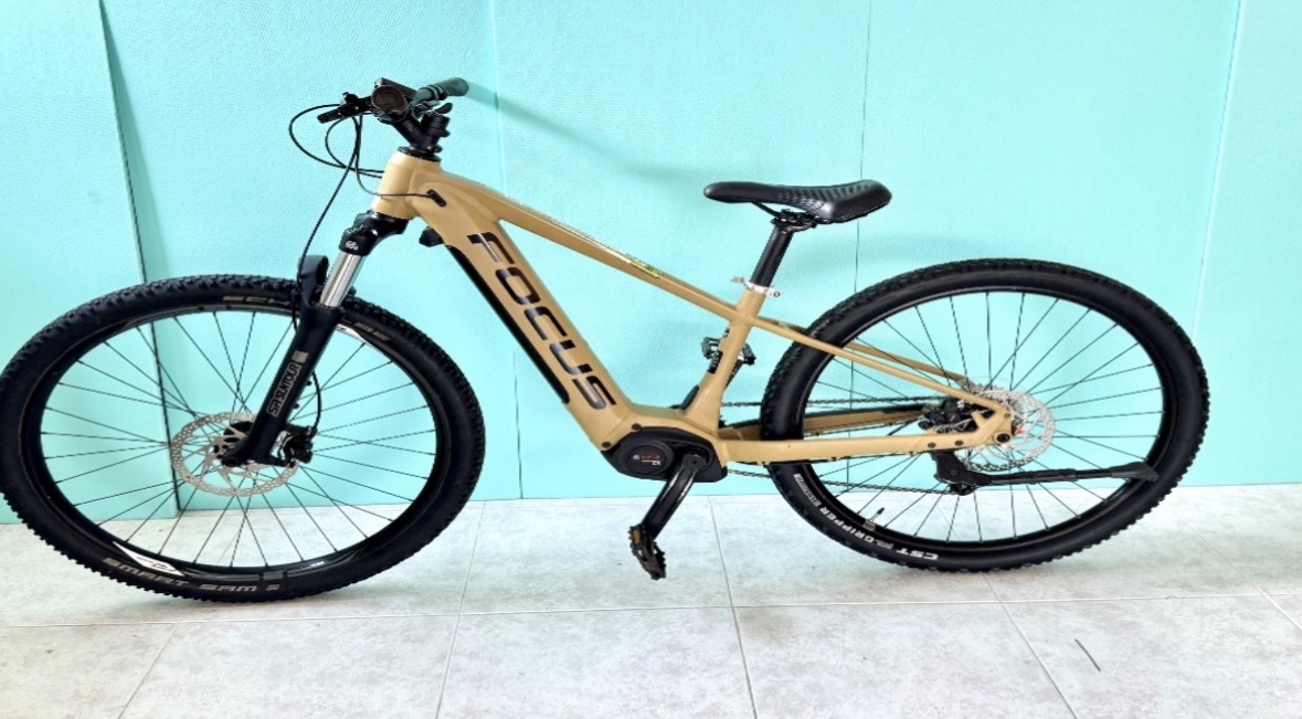 Focus Jarifa 6.6 (2021)