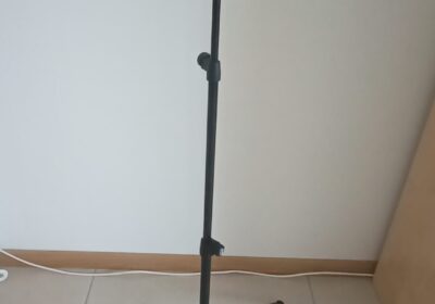 1000069733