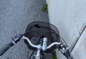 SUPER AKTION: Elios Blucycle Elektro Damenfahrrad