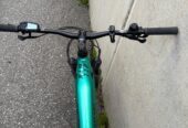 Haibike AllMtn 1 E-Mountainbike Fully